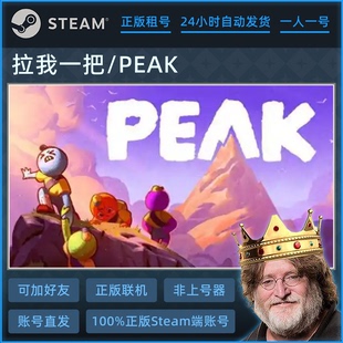 拉我一把/peak租号 在线联机非上号器 租不顶号 Steam正版账号