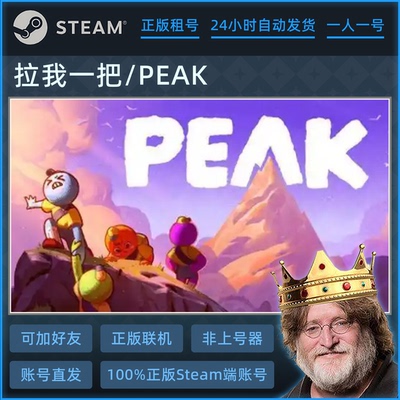 拉我一把/peak租号 在线联机非上号器 租不顶号 Steam正版账号