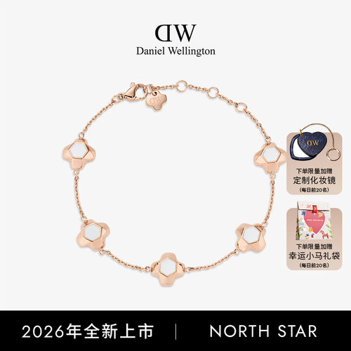 DW手链NorthStar北极星五坠手链