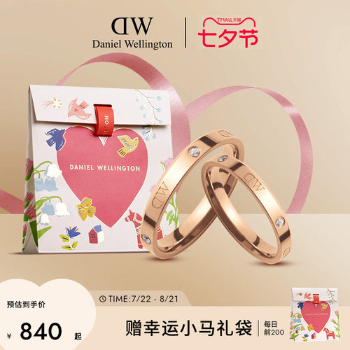 DW闪耀星辰情侣对戒婚戒女礼物