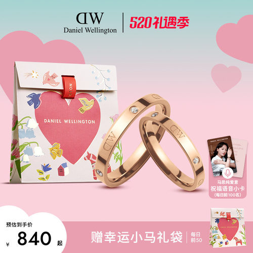 DW闪耀星辰情侣对戒婚戒女礼物