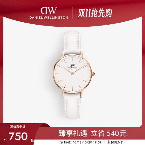 dw手表女皮质石英圆表