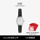 新品 DW手表女表复古椭圆表手表女士星光银色腕表蜥蜴纹皮带表