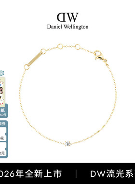 【新品】DW手链流光手链女款锆石手链手饰女士首饰素链简约时尚