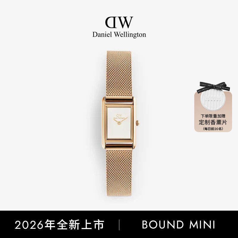 DW手表迷你摩登复古女轻奢小众图片