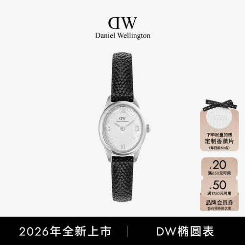 DW椭圆表复古轻奢礼物皮带腕表