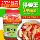 开胃下饭菜2025新凤头姜来凤仔姜王腌制泡酸糟姜菜湖北恩施土特产