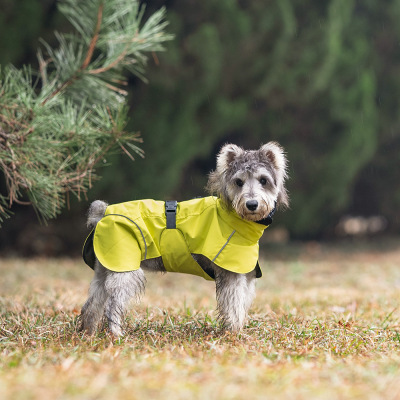 户外新款狗狗雨衣春季