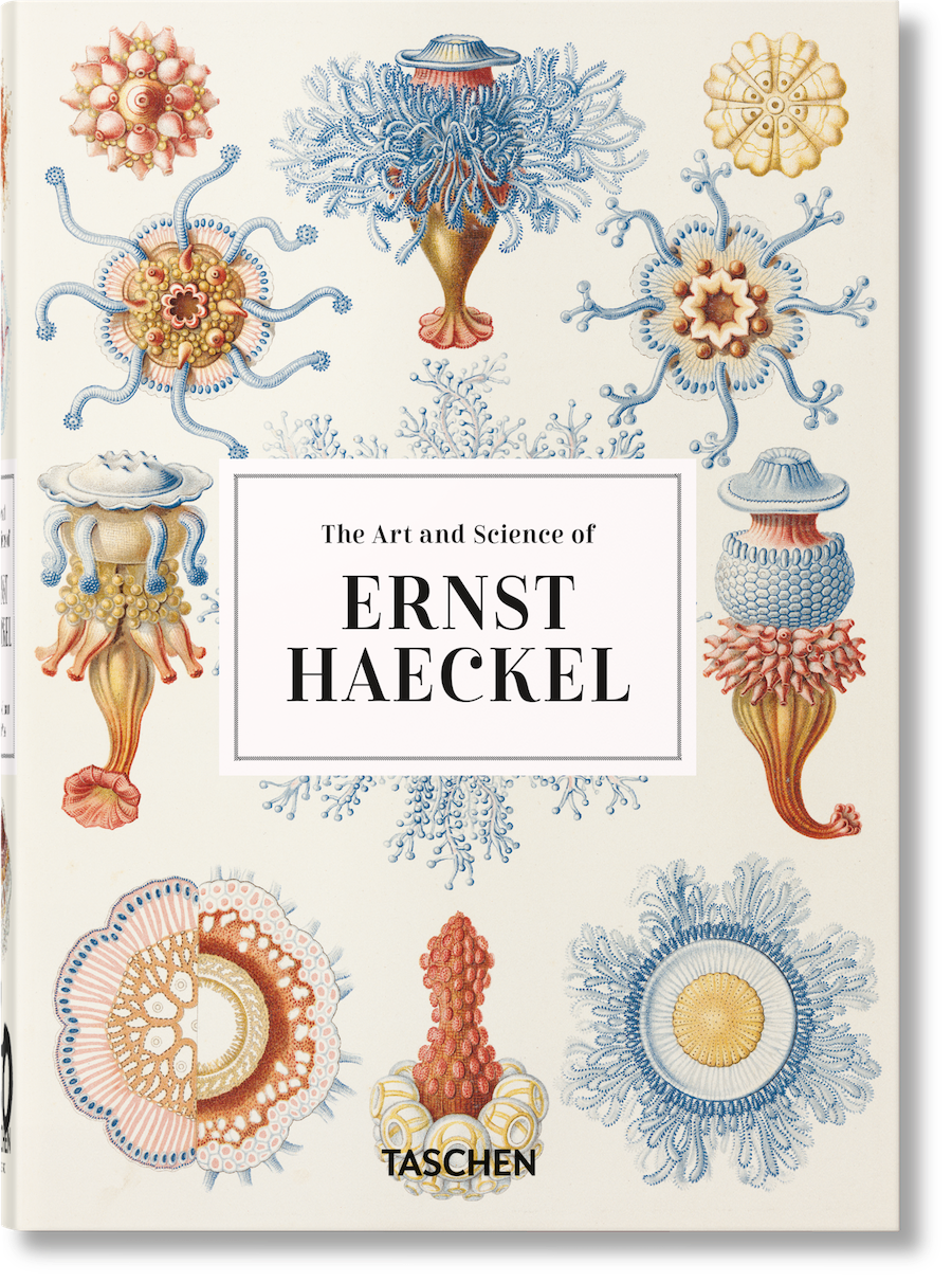 【Taschen40周年纪念版】Ernst Haeckel，恩斯特·海克尔 自然生物插画绘画