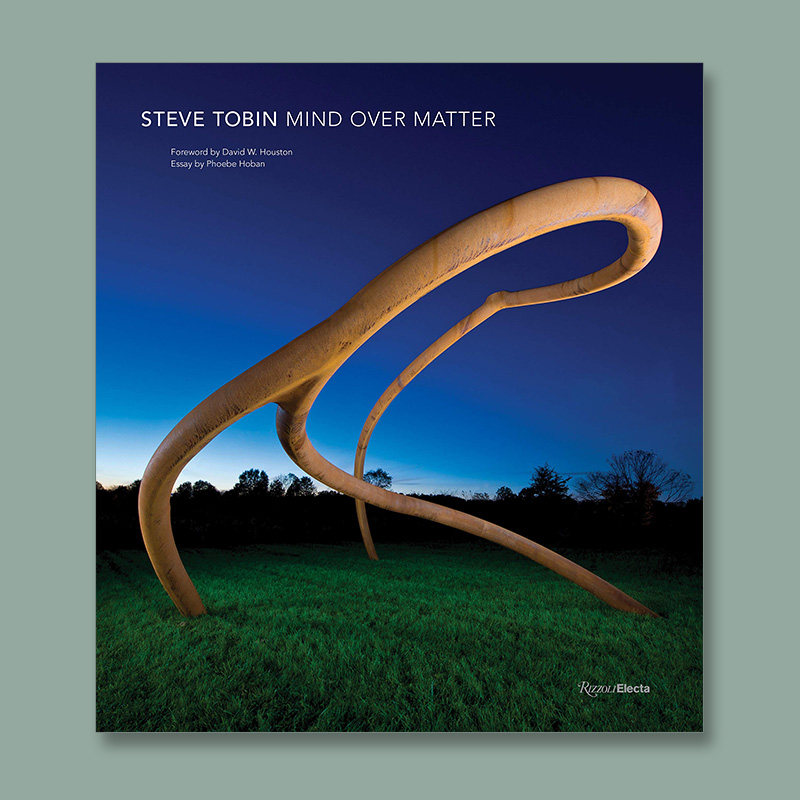 Steve Tobin: Mind Over Matter，史蒂夫·托宾:精神重于物质 雕塑艺术 原版图书