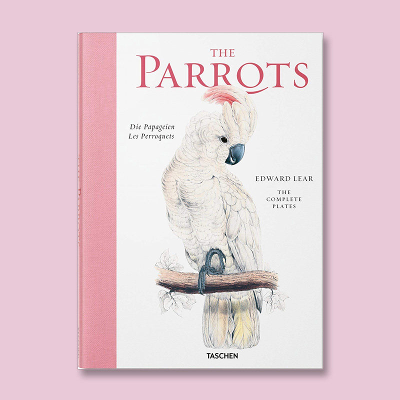 taschen 出版 英文原版 edward lear the parrots 爱德华·李尔 鹦鹉