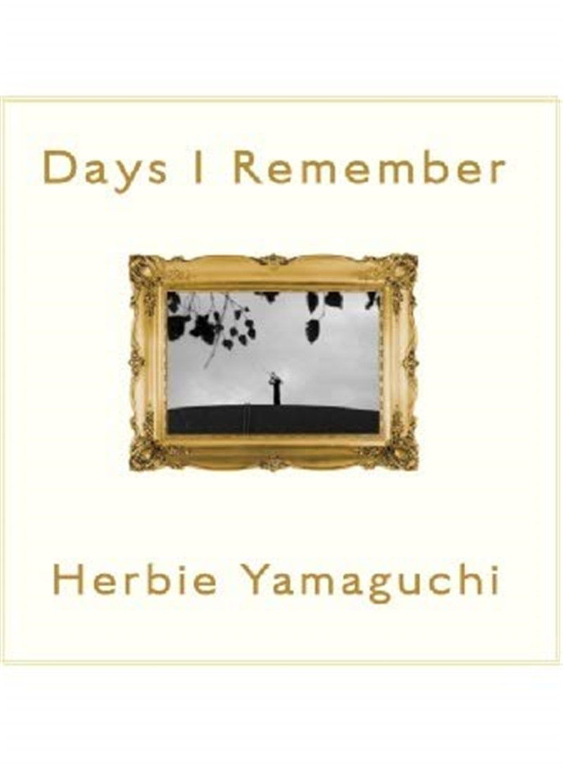 herbie yamaguchi 摄影集 days i rememberハービー山口  我记得的