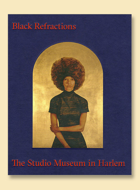 英文原版图书 Black Refractions 黑色折射:哈莱姆工作室博物馆的亮点 非裔艺术家作品集 文化收藏 出版社：Rizzoli
