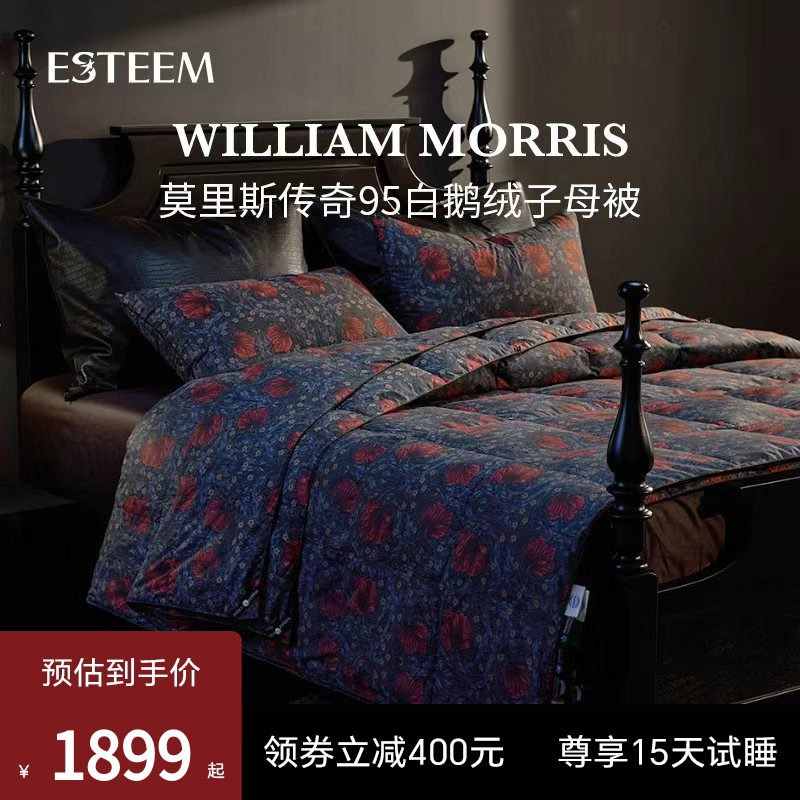 Esteem宜庭匈牙利白鹅绒羽绒被