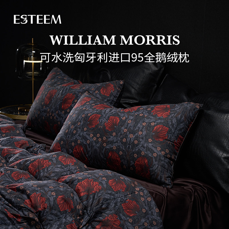 ESTEEM/宜庭莫里斯传奇可水洗进口匈牙利95鹅绒枕芯【专柜同款】