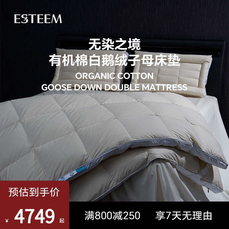 ESTEEM宜庭白鹅绒有机棉