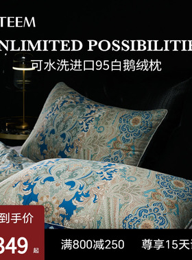 ESTEEM/宜庭菲尔德俄罗斯进口95白鹅绒枕可水洗枕头【专柜同款】