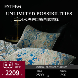 专柜同款 ESTEEM 宜庭菲尔德俄罗斯进口95白鹅绒枕可水洗枕头