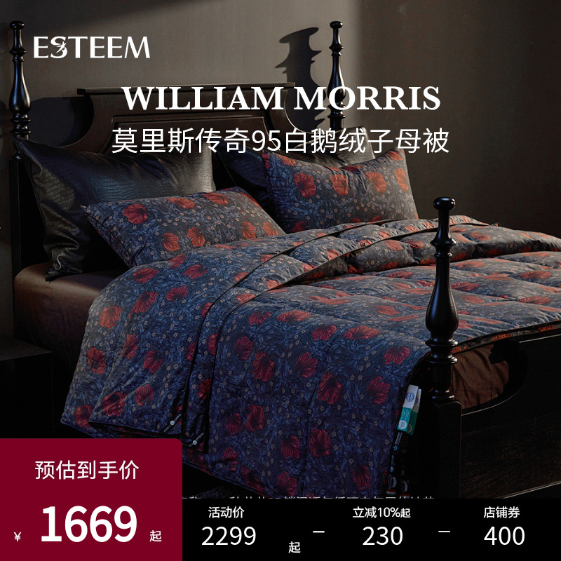 Esteem宜庭匈牙利白鹅绒羽绒被