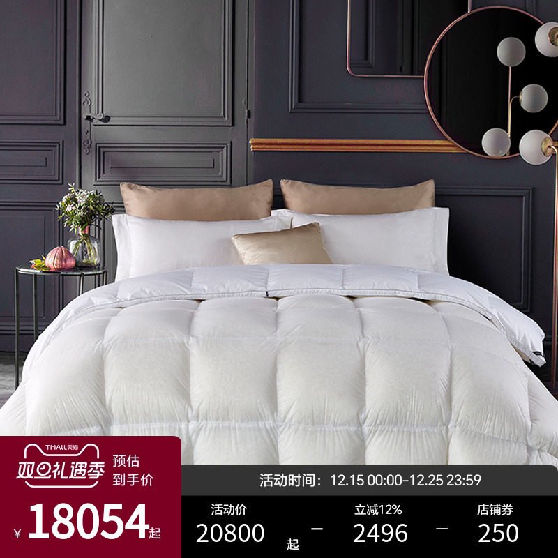 ESTEEM/宜庭圣克鲁斯加拿大进口95白鹅绒羽绒冬被芯【专柜同款】