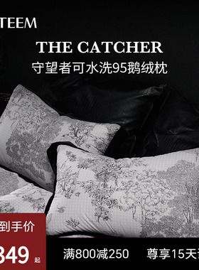 ESTEEM/宜庭守望者进口95白鹅绒枕头可水洗羽绒枕芯【专柜同款】