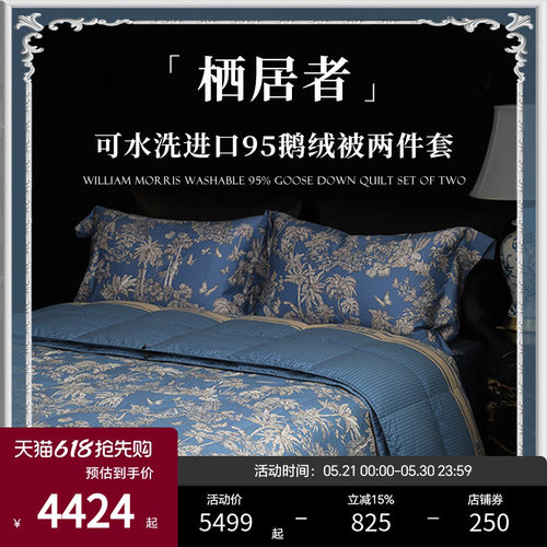 Esteem鹅绒被95白鹅绒被羽绒被