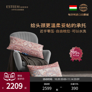 专柜同款 ESTEEM 宜庭萨马拉可水洗匈牙利进口95白鹅绒枕头芯