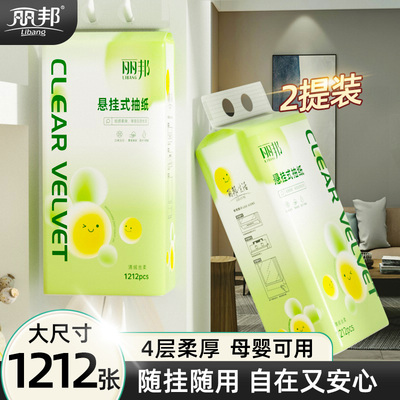 丽邦大包提挂4层悬挂式抽纸巾