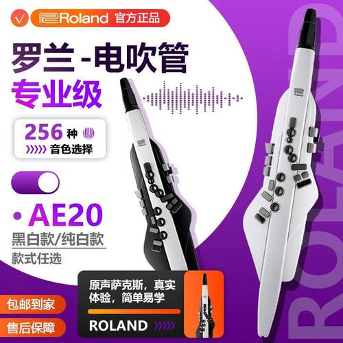 Roland罗兰电吹管初学娱乐