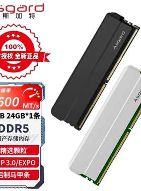 阿斯加特 16GB 24GB DDR5 5600 6000 台式机内存条 海拉 钛银甲