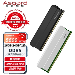 阿斯加特 16GB 24GB DDR5 5600 6000 台式机内存条 海拉 钛银甲