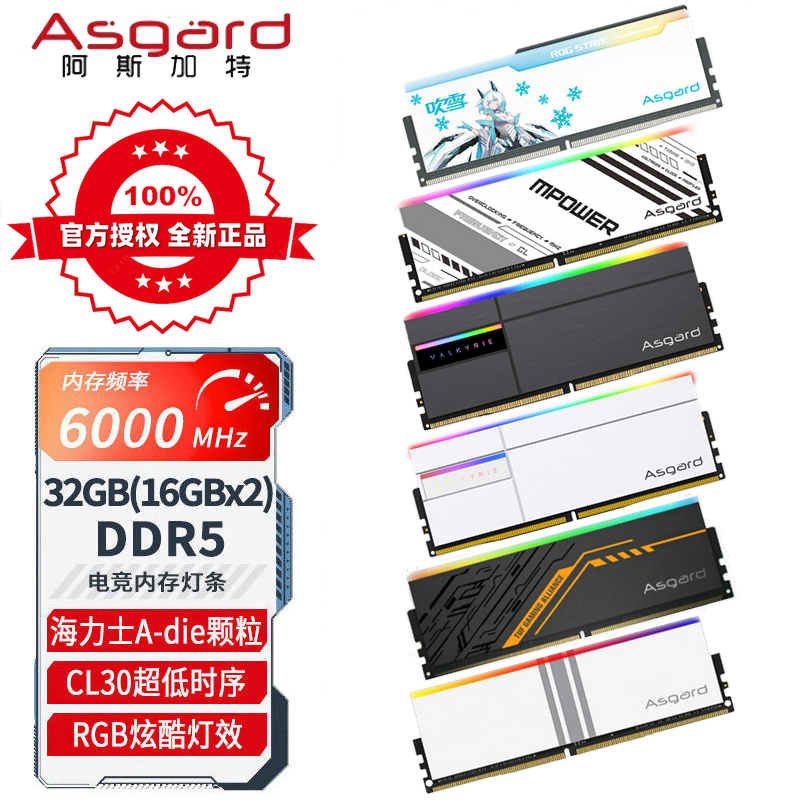 内存条Asgard/阿斯加特DDR5台式