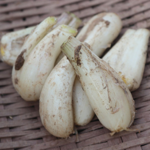 新鲜农家藠头现挖5斤装 自种茭头教头酸辣泡菜蔬菜下饭菜荞头