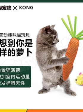 美国Kong抱枕逗猫棒网眼丝袜胡萝卜抱枕兔子踢猫薄荷猫玩具