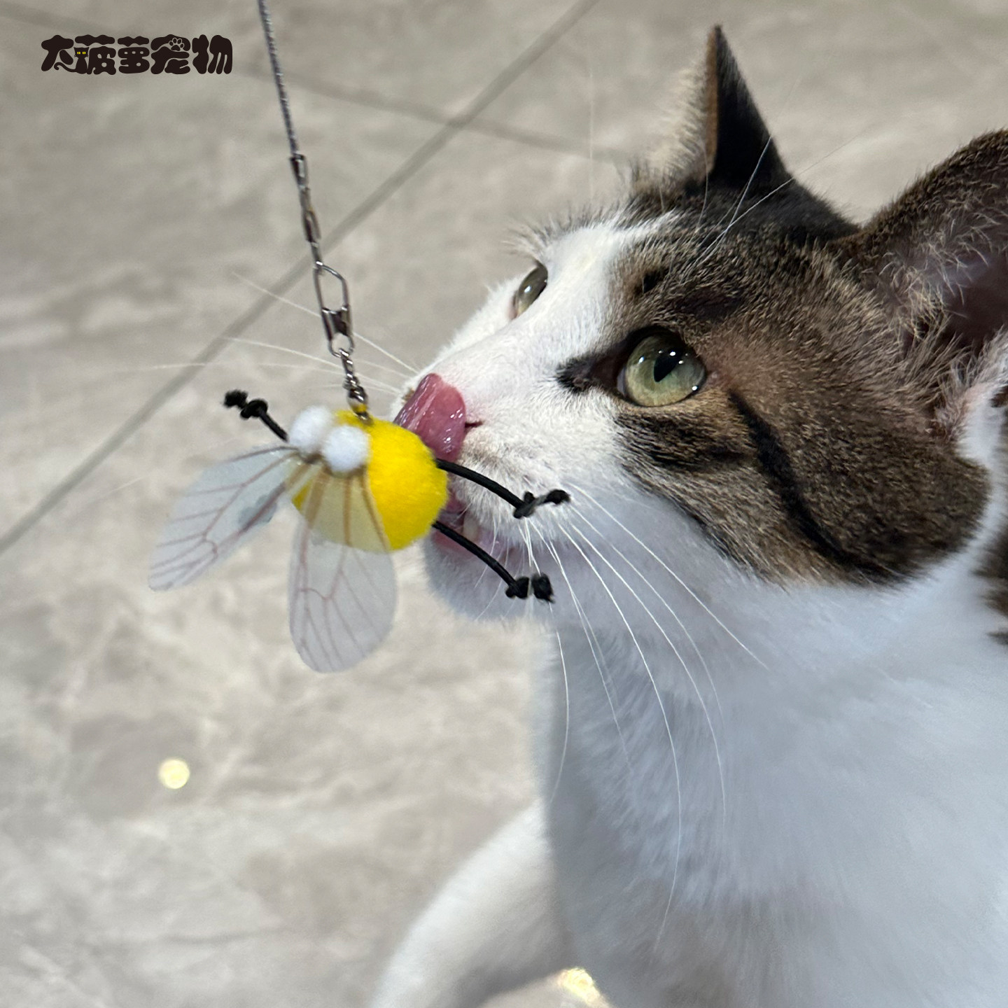 AmyCarol银翼虫趣系列逗猫棒图片