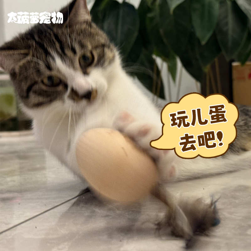 猫咪旺农场旋转木蛋猫玩具