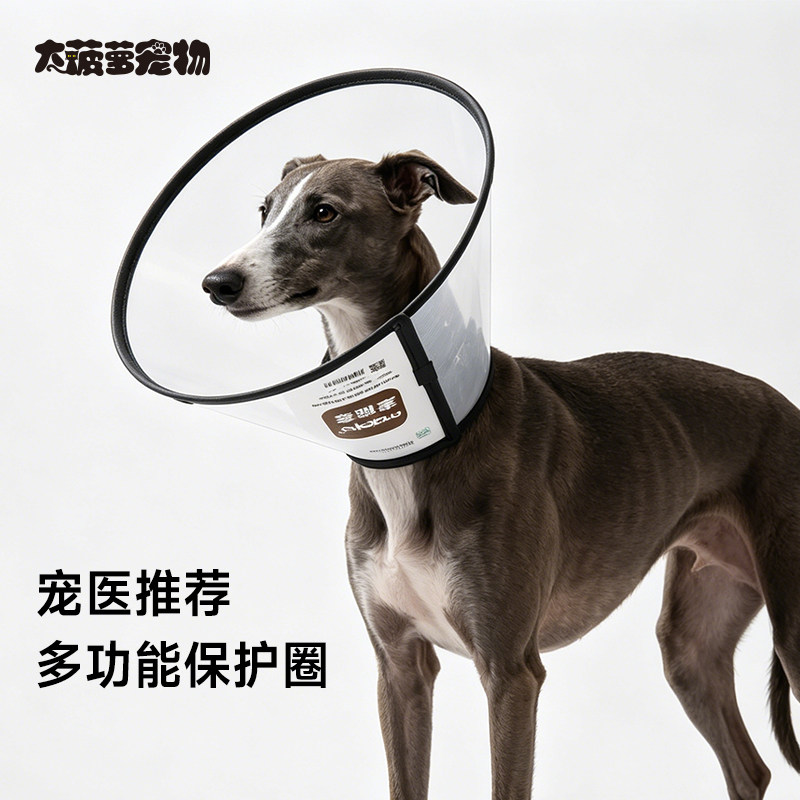 大菠萝宠物 加长加深项圈伊丽莎白圈长嘴狗头套术后绝育防舔抓咬
