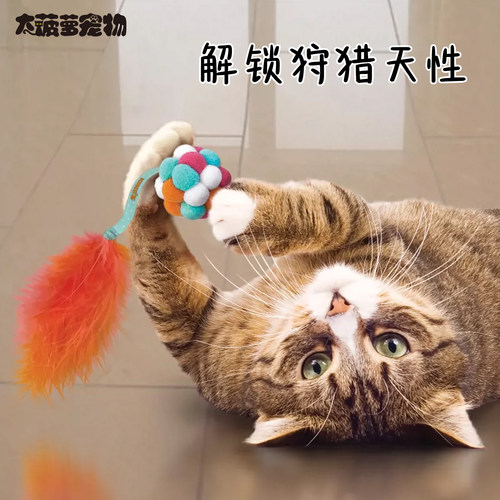 KONG活力泡泡球羽毛铃铛猫玩具