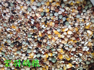 精品营养鸽粮鸽子食 信鸽 鸽饲料 50斤包邮