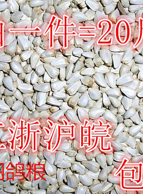 红花子红花籽白瓜子20粮食鸽子
