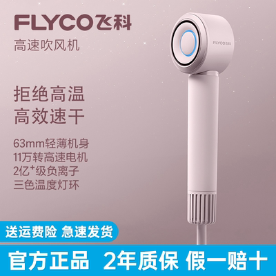 【热卖爆款】飞科高速电吹风机
