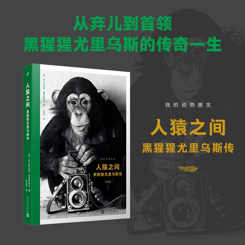 人猿之间 黑猩猩尤里乌斯传 我的动物朋友系列  阿尔弗莱德·费德斯蒂尔描述黑猩猩的一生治愈系哲理散文集外国经典人民文学出版社