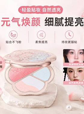 考拉玫瑰西洋古董眼颊盘初学者易上色持久大地色珠光哑光一盘多用
