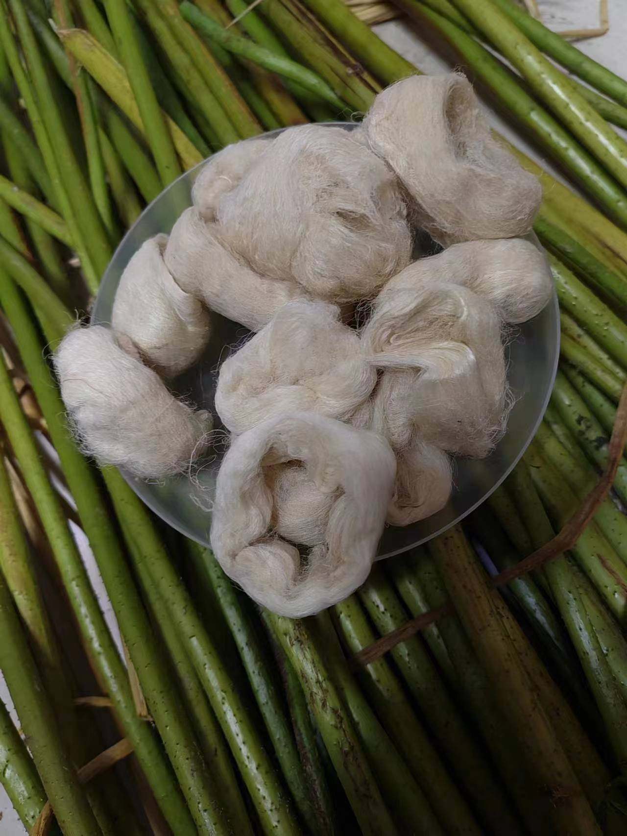 莲杆丝现抽新鲜藕丝莲丝印泥原料龙泉印泥原料藕杆丝荷杆丝手工抽图片