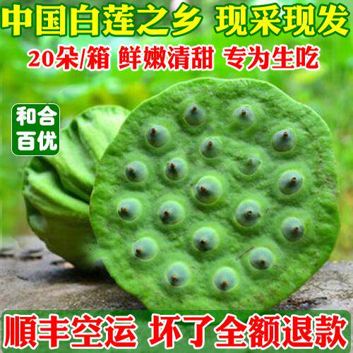 现摘鲜嫩莲蓬米生吃水果20朵孕妇