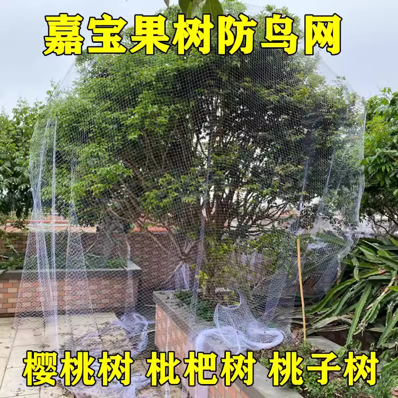 果树防鸟用的网嘉宝果树网樱桃树枇杷树桃树家用防鸟网果树防鸟罩