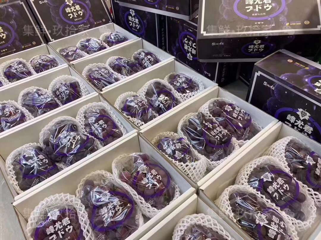 日本引种匠心极峰尤君巨峰葡萄约4.5-5斤3-4串甜大粒紫葡萄发顺丰