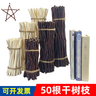 树枝材料松果装饰天然枯枝花束幼儿园手工diy树干枝条创意原木画