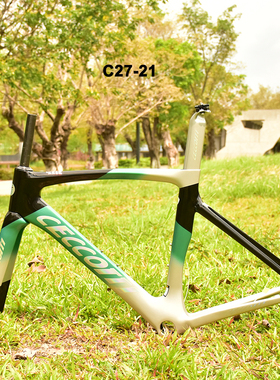 CECCOTTI DC027 全内线碟刹公路车 碳纤维车架 非整车价
