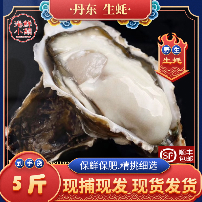 丹东野生生蚝刺身海蛎子鲜活海鲜生蚝新鲜牡蛎特大生蚝海蛎子顺丰